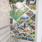 WhatsApp Image 2025-02-11 at 11.12.02